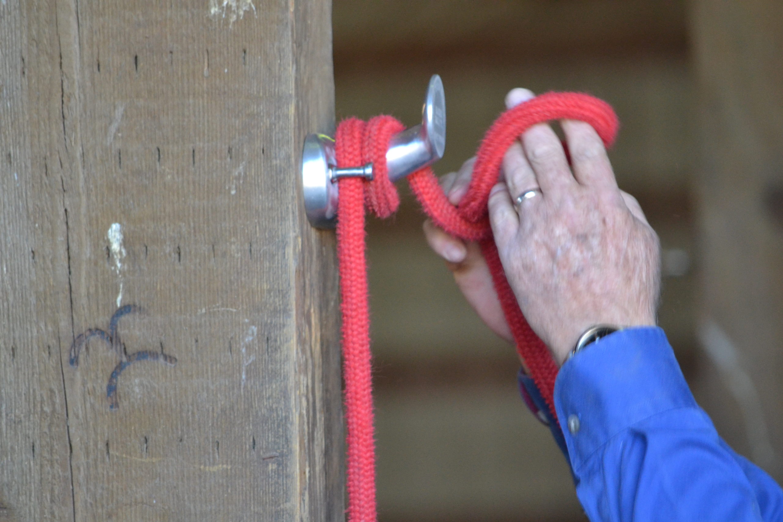 3. Create a half hitch with your lead rope and loop it over the horn. 4. Finally pull down on the horse end of the lead rope.